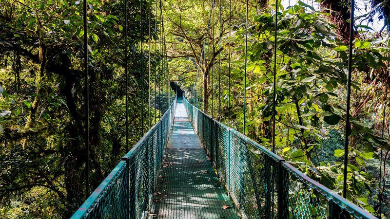 Fotografija: Santa Elena Skywalk, Kostarika. Foto: Shutterstock
