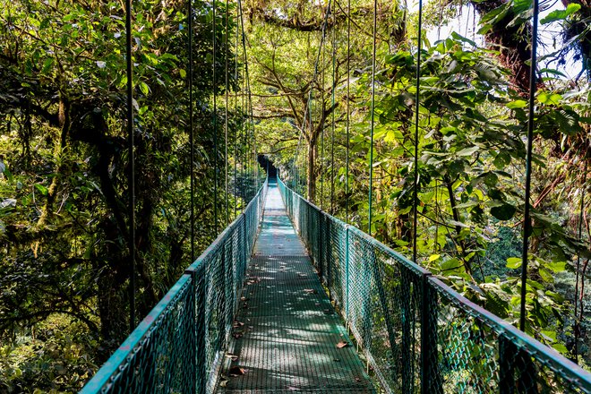 Santa Elena Skywalk, Kostarika. Foto: Shutterstock
