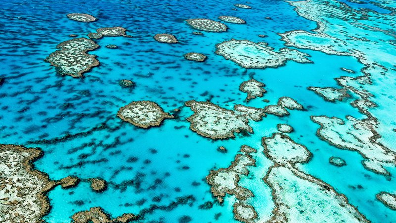 Fotografija: Veliki koralni greben. Foto: Shutterstock
