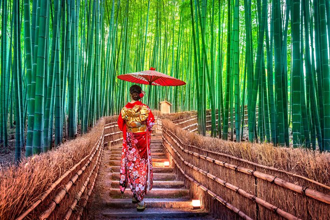 Kyoto, Japonska. Foto: Shutterstock
