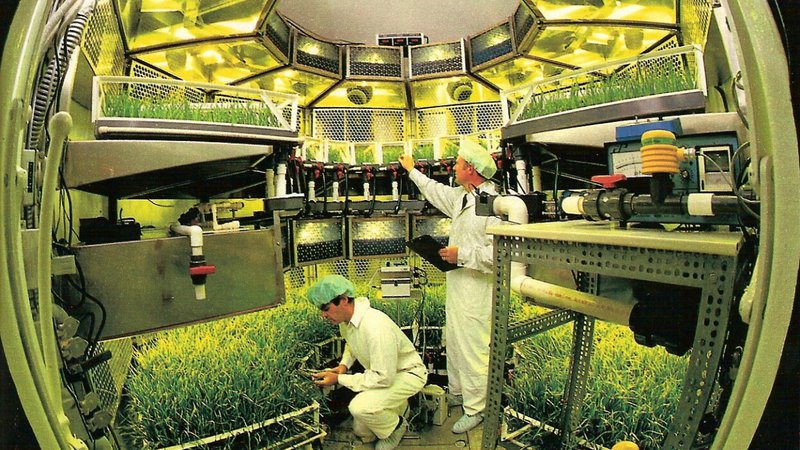Fotografija: Znanstveniki v vesoljskem središču Kennedy skrbijo za pridelke. Foto: NASA
