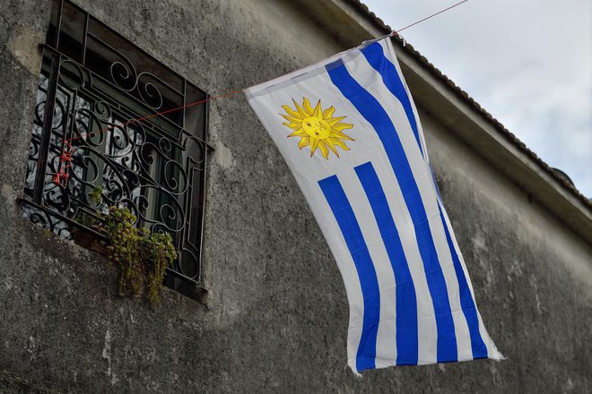 Zastava, Urugvaj. Foto: Shutterstock
