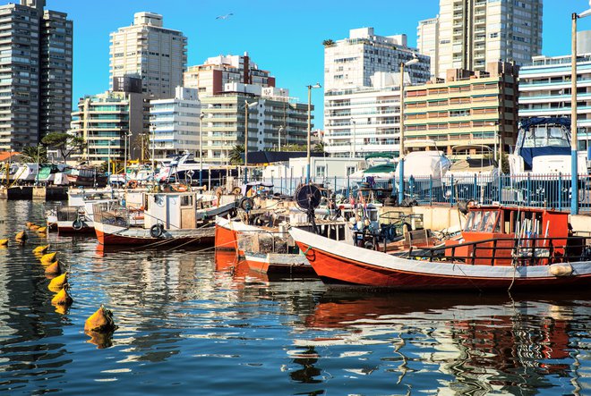 Ribiške ladje, Punta del Este, Urugvaj. Foto: Shutterstock
