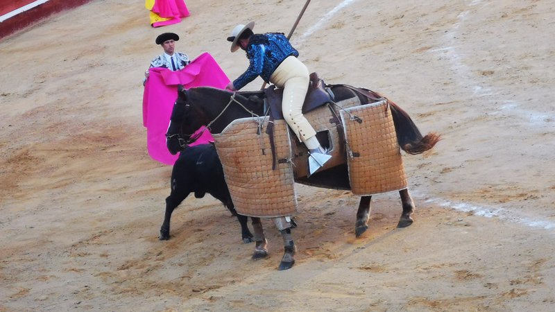 Fotografija: V soboto zvečer se je odvijala v središču Valencije prava tradicionalna bikoborba, pri kateri so šli do konca. Do umora bika. Foto: Petra Kovič
