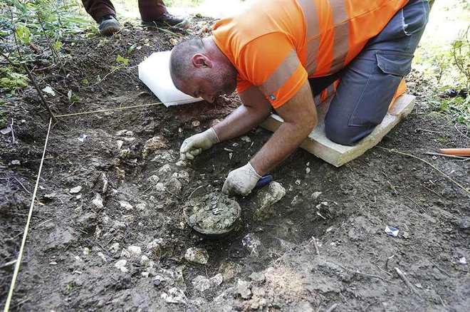 Dragocene kovance je sprva našel amaterski Arheolog. Foto: Posnetek zaslona/Ancient Origins
