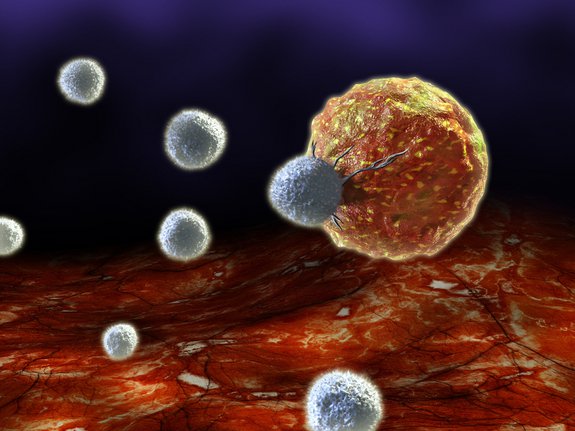 Prikaz delovanja imunskega sistema FOTO: Delo
