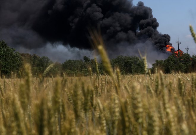Zaradi ruske blokade ukrajinskih pristanišč žita trenutno ni mogoče izvažati, lakota in težave pri oskrbi s hrano pa so se posledično v nekaterih delih sveta močno poslabšale. FOTO: Leah Millis/Reuters
