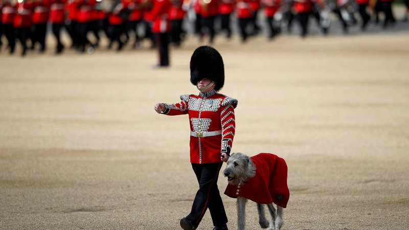 Fotografija: Pri kraljevi pošti sicer ugotavljajo, da se število napadov psov na poštarje zmanjšuje že drugo leto zapored, čeprav le za malenkost v primerjavi z obdobjem pred tem. FOTO: Peter Nicholls/Reuters
