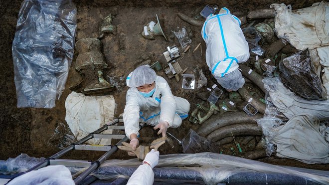 Arheologi med izkopavanjem v eni od jam v Sanxingduiju na Kitajskem. Foto: Ma Da/VCG/Getty Images
