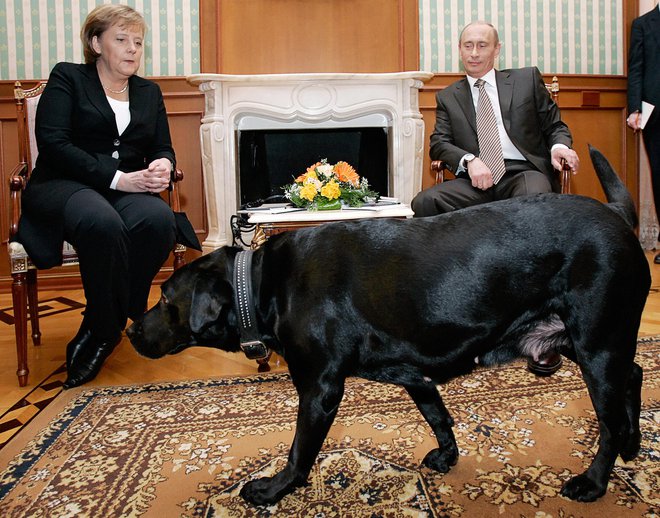 Vladimir Putin na srečanje z Angelo Merkel. FOTO: CNN
