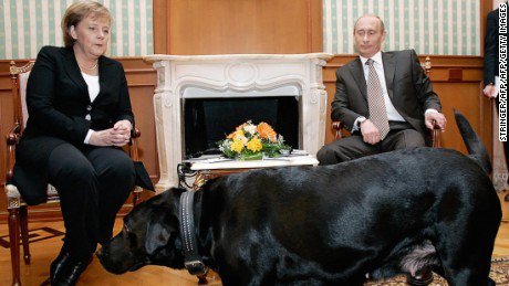Fotografija: Vladimir Putin na srečanju z Angelo Merkel, ki je  javno priznala, da se izjemno boji psov. A Putin je šel vselej pri svojih ciljih 