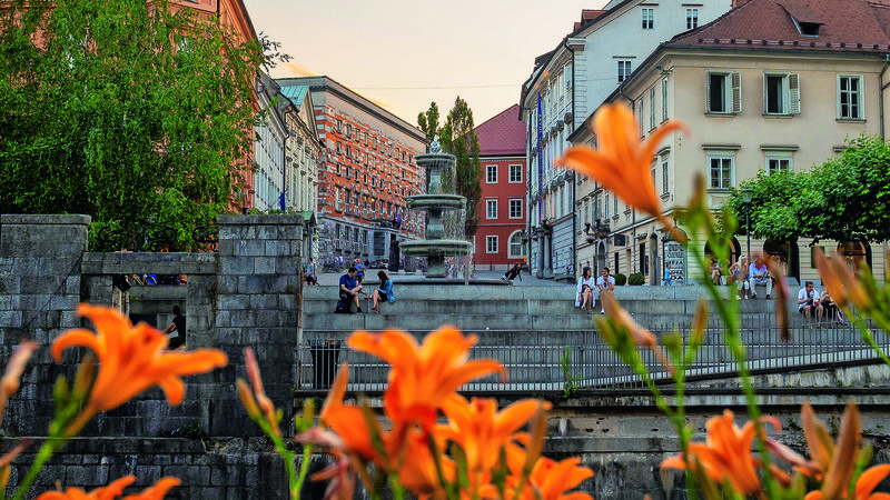 Fotografija: https://www.delo.si
